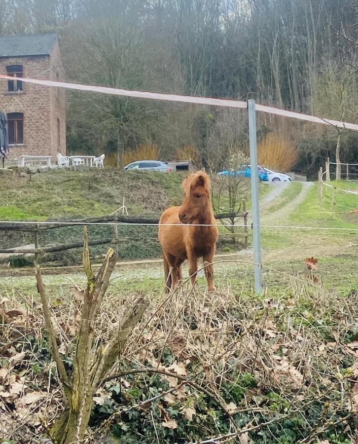 Вилла Le Ranch Des Aguesses Andenne Экстерьер фото